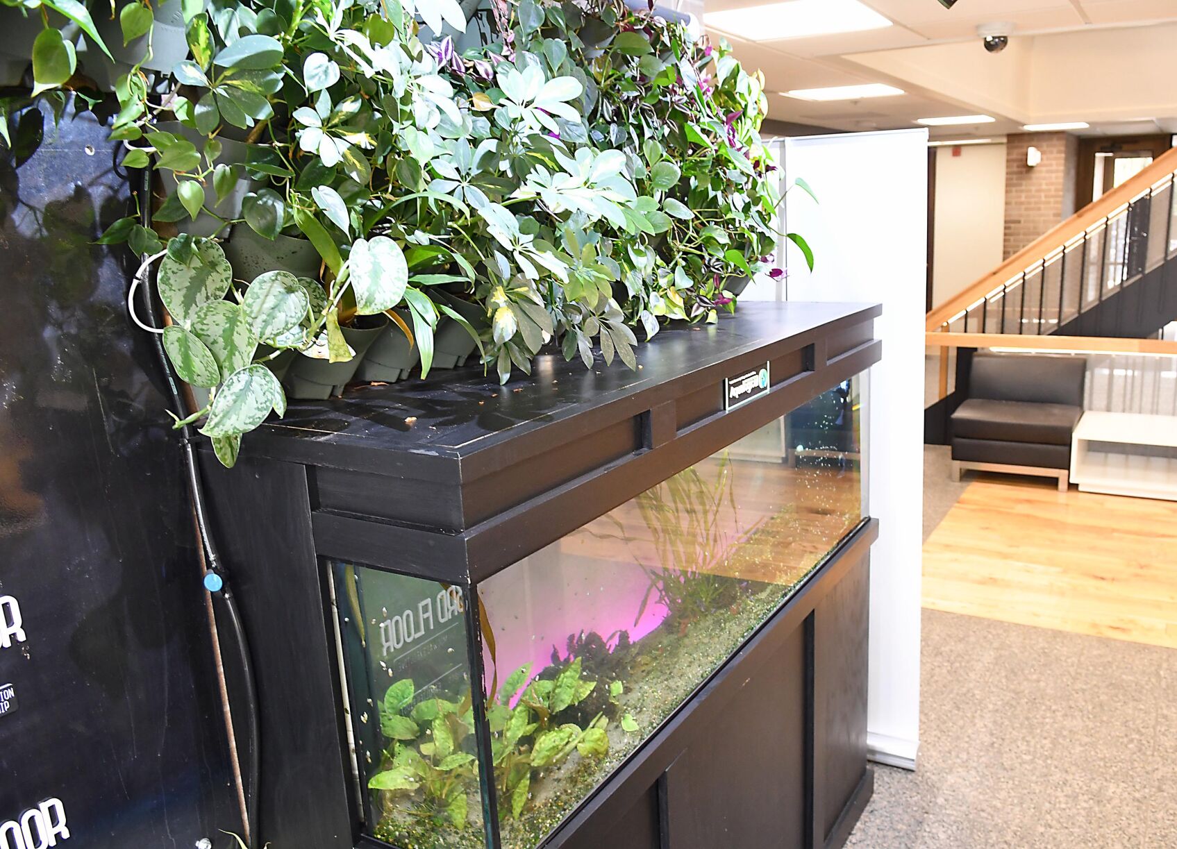 Sustainability Yocum